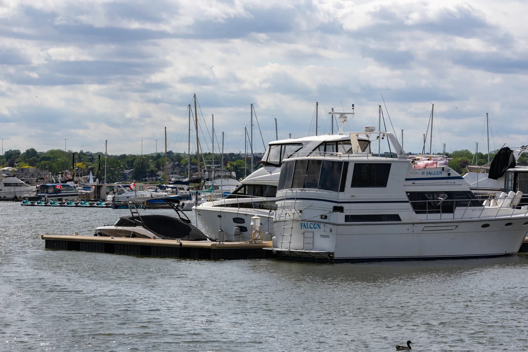 Boats docked at the Frenchmans Bay Marina in Pickering, ON
