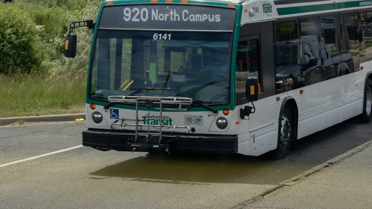 A white and green Durham Region Transit bus, fleet number 6141, on Kingston Road in Pickering, Ontario; no people visible.