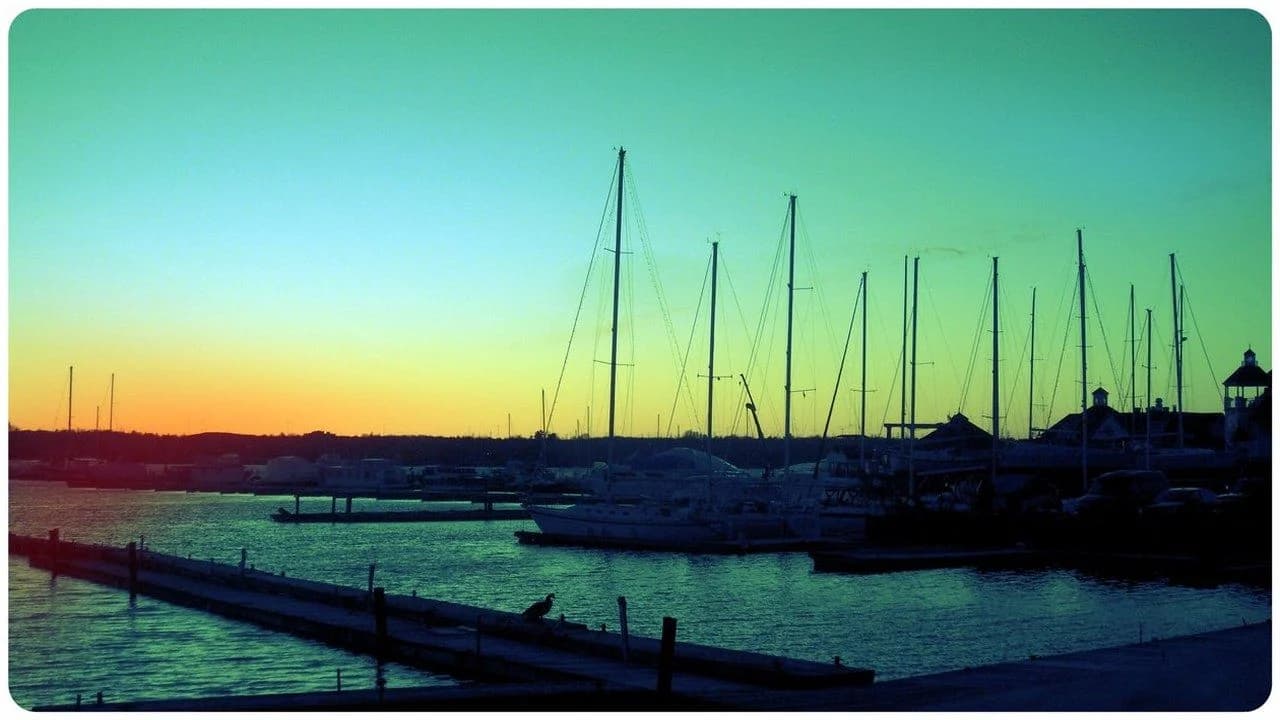 Sailboats moored at the Frenchman's Bay marina in Pickering at sunset, viewed across calm water.