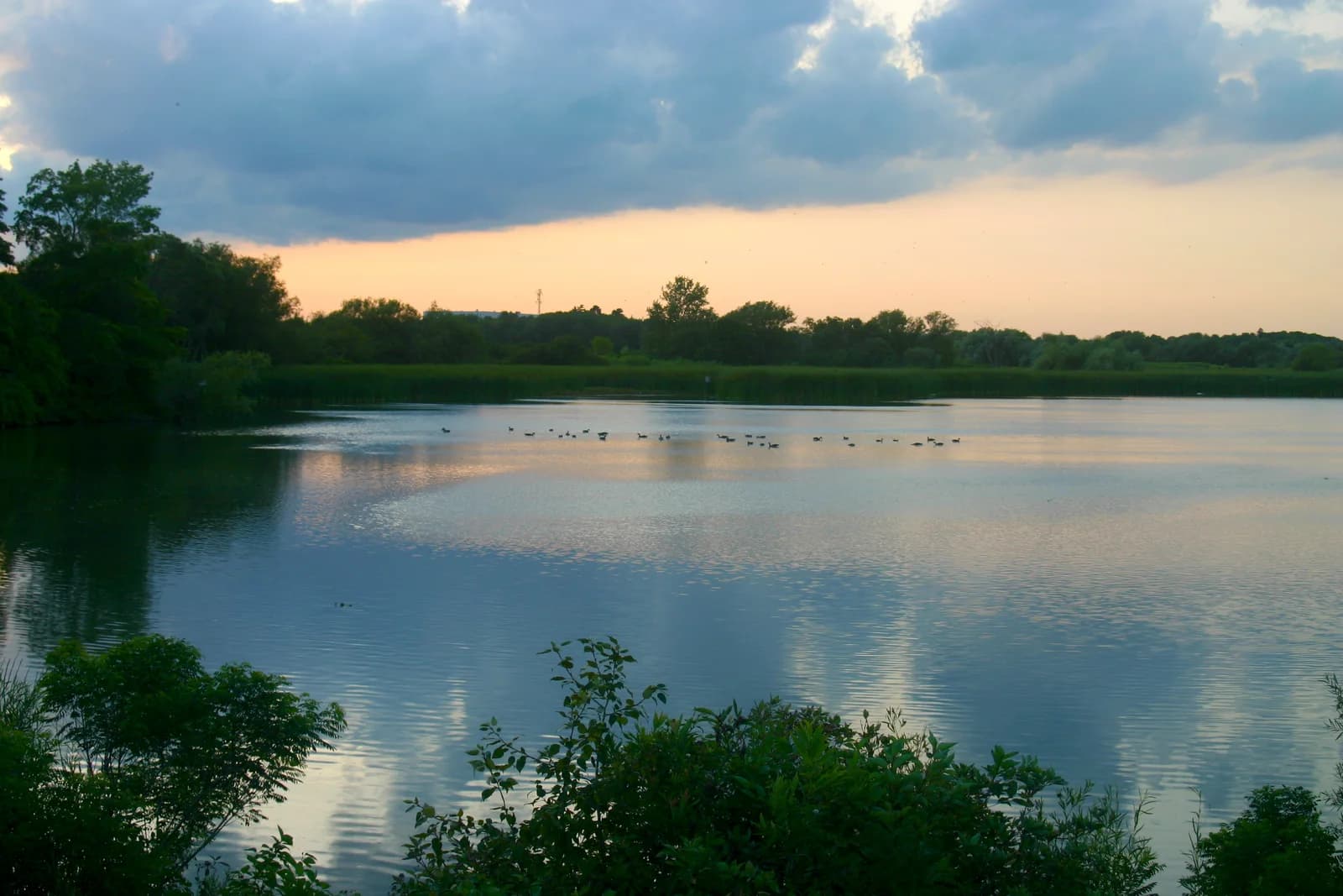 Water and shoreline trees seen from Rotary Park in Ajax under an evening sky.