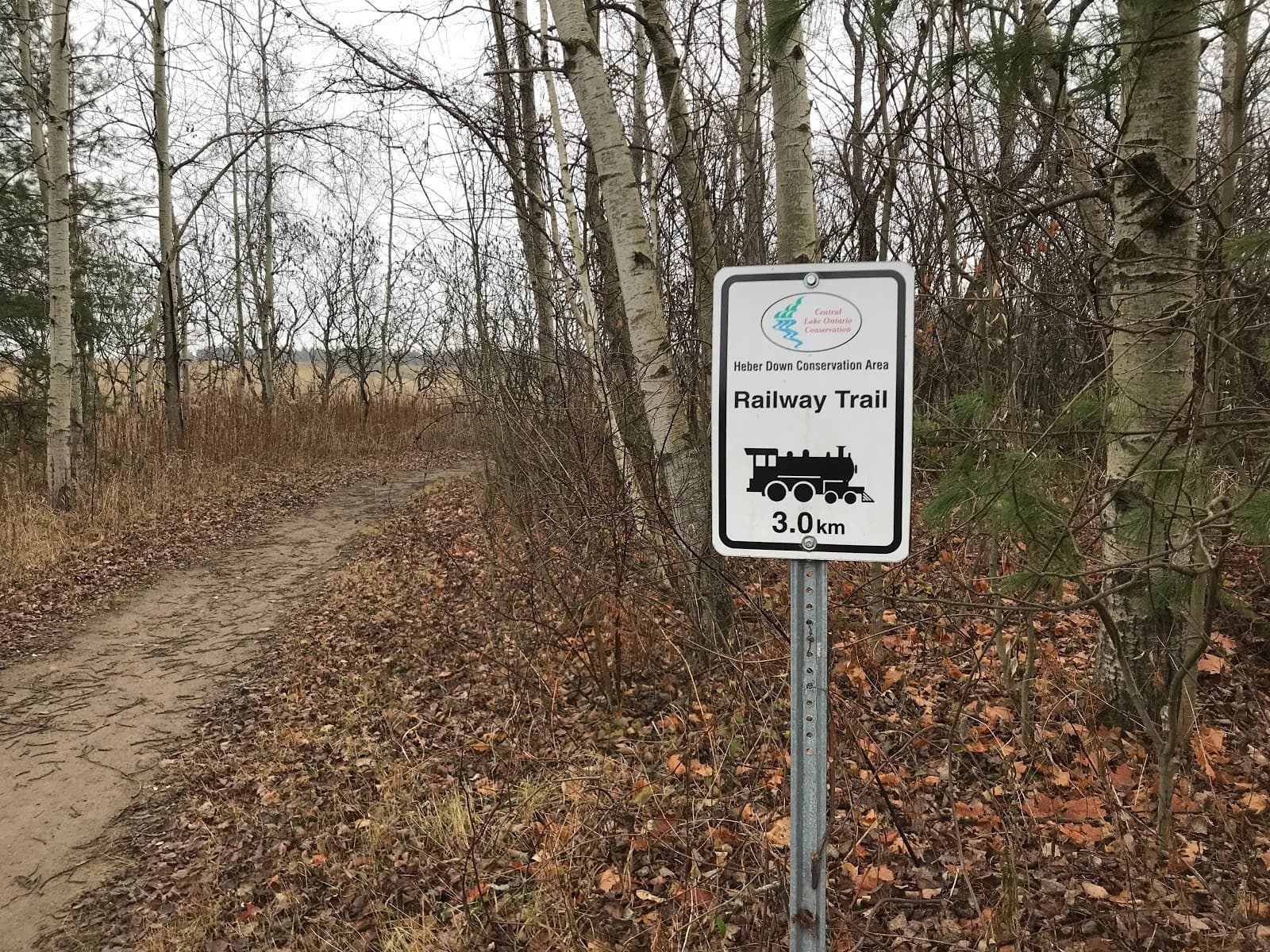 Heber Down Railway Trail sign beside a leaf-covered woodland path.