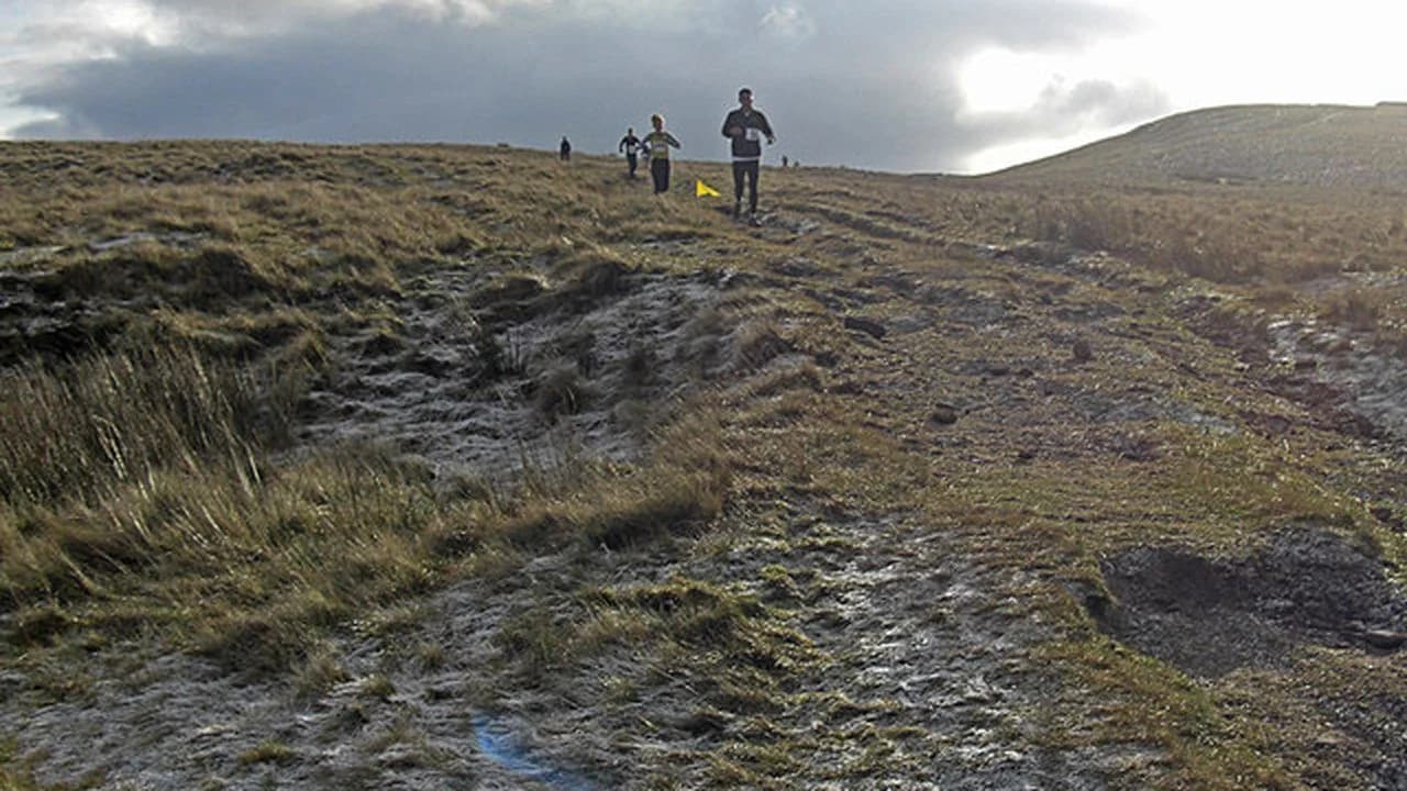 Distant runners on a moorland trail during a cross-country race; no identifiable people.