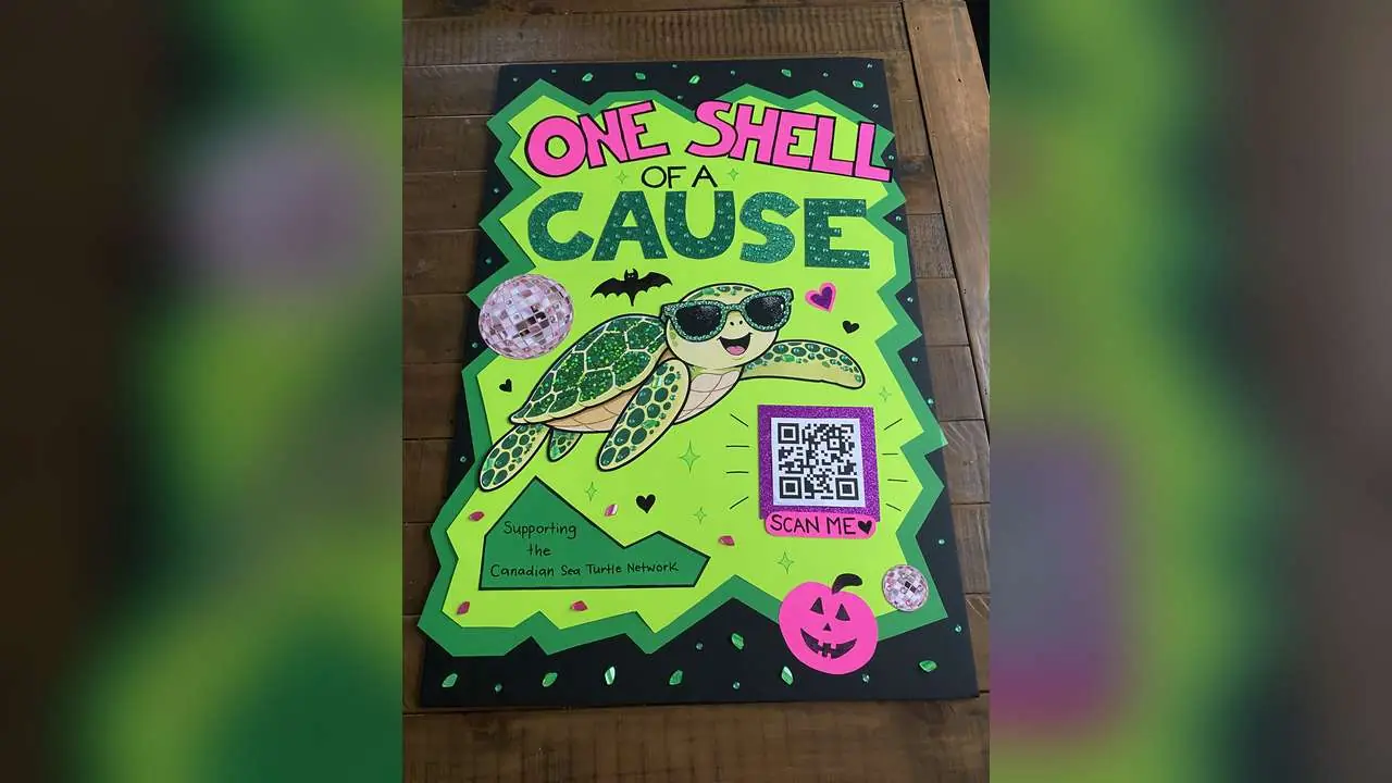 Alicja's handmade 'One Shell of a Cause' sign, with a glittery sea turtle in sunglasses, disco balls and a QR code linking to her fundraiser.